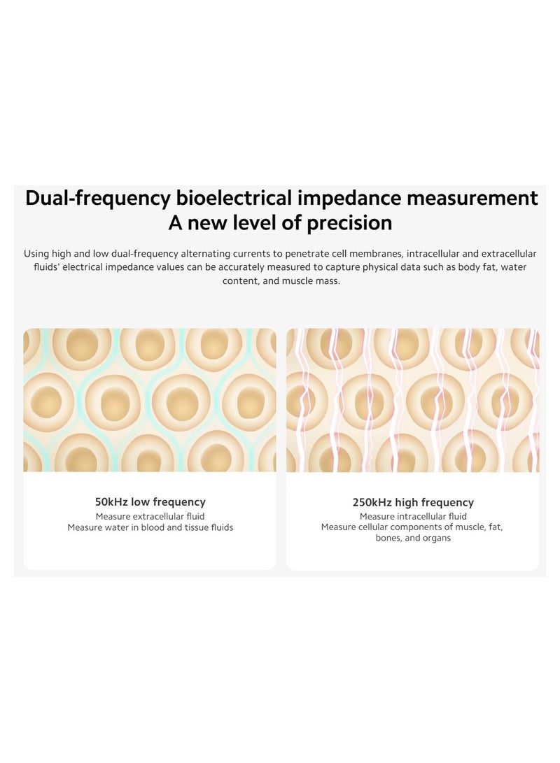 Xiaomi Body Composition Scale S400 | Bluetooth® Low Energy (BLE) 5.0 | Dual Frequency 50kHz/250kHz | 25 Health Indicators
