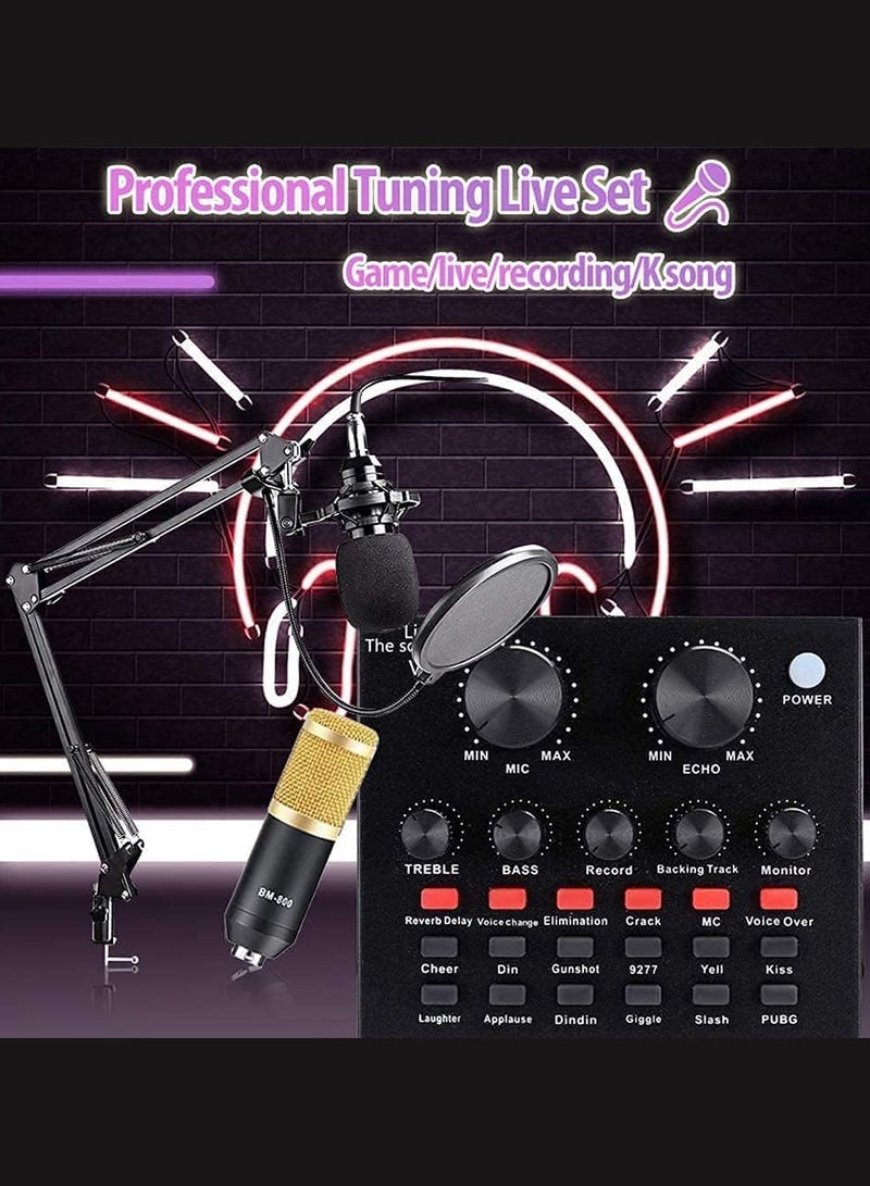 Professional Condenser Microphone With Patented Audio Reference Companding For Crystal - Clear Sound And Studio Recording Broadcasting Set Black/Gold