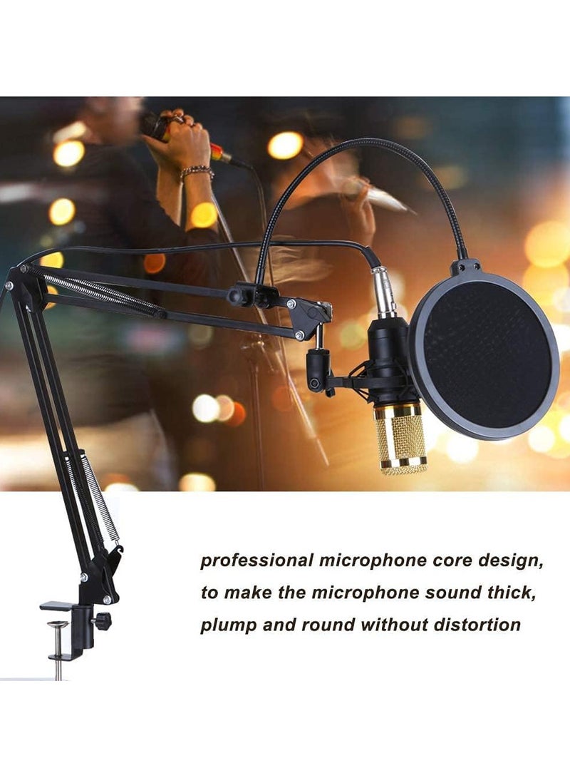 Professional Condenser Microphone With Patented Audio Reference Companding For Crystal - Clear Sound And Studio Recording Broadcasting Set Black/Gold