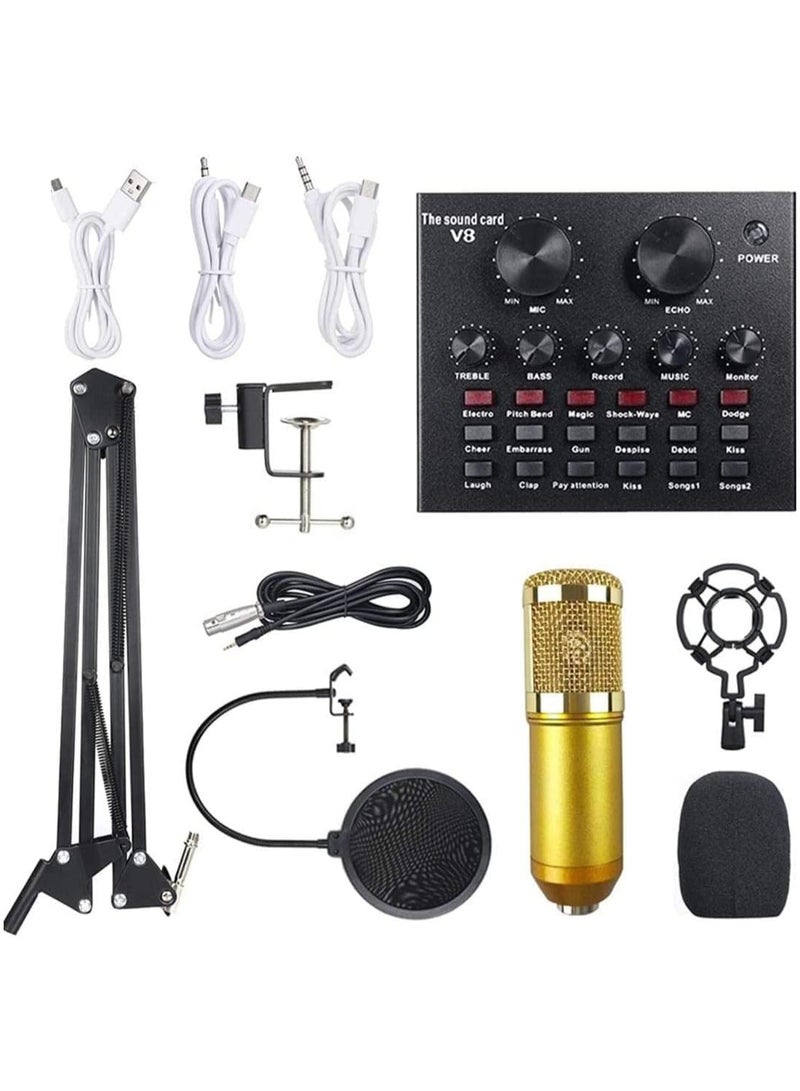 Professional Condenser Microphone With Patented Audio Reference Companding For Crystal - Clear Sound And Studio Recording Broadcasting Set Black/Gold