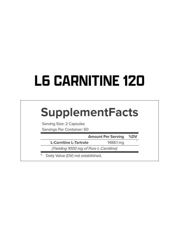 Lipo 6 Carnitine Stimulant Free, 120 Capsules