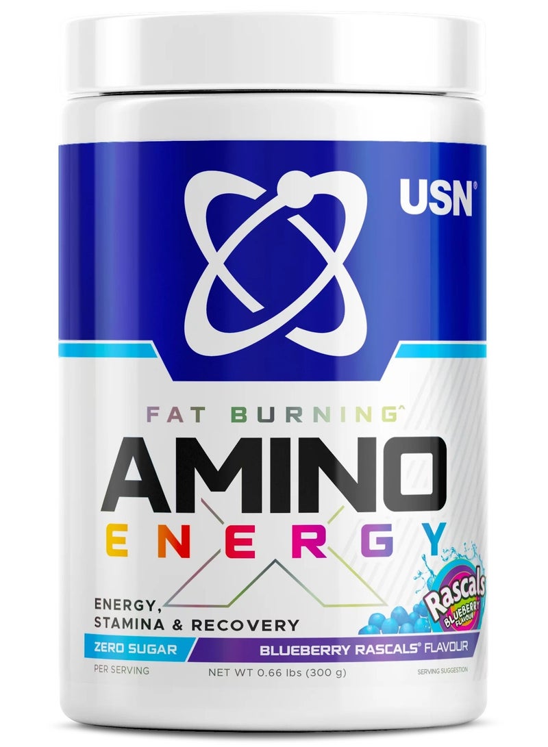 USN AMINO ENERGY Fat Burning 300g Blueberry Rascals Flavor