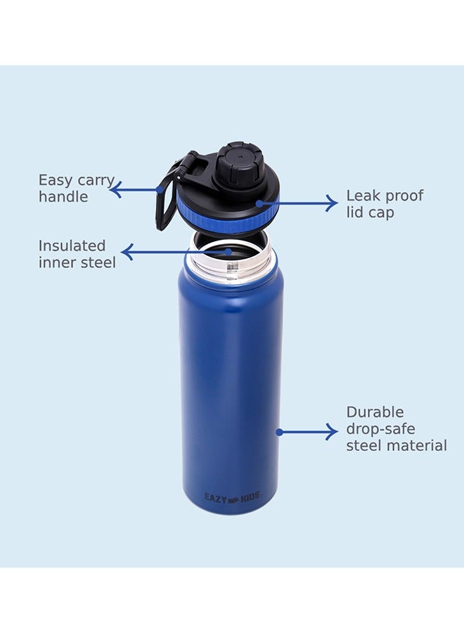 Double Wall Insulated Tracking Water Bottle - Blue, 800 ML