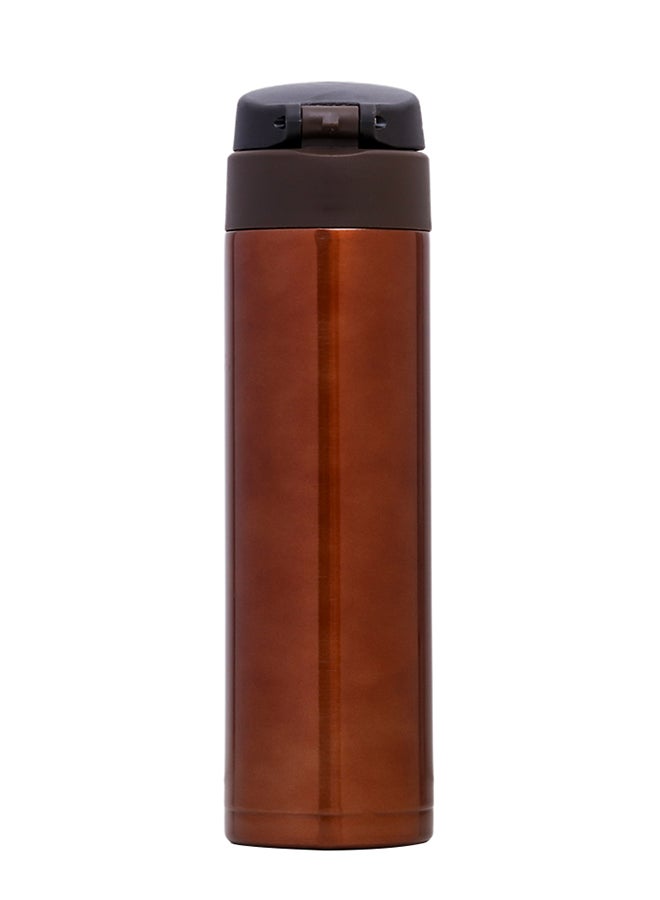 Double Wall Insulated Travel Water Bottle - Antique Copper, 500 Ml