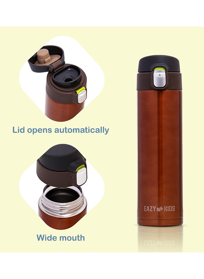 Double Wall Insulated Travel Water Bottle - Antique Copper, 500 Ml