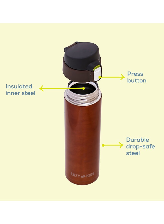 Double Wall Insulated Travel Water Bottle - Antique Copper, 500 Ml