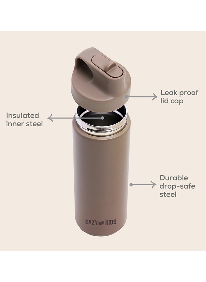 Double Wall Insulated Sports Water Bottle - Khaki, 550 ML