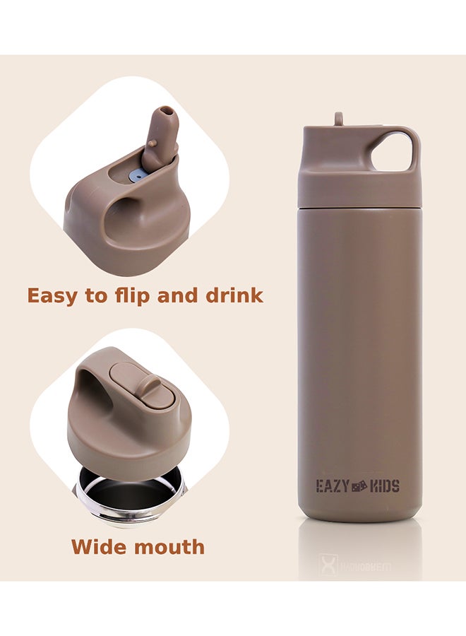 Double Wall Insulated Sports Water Bottle - Khaki, 550 ML