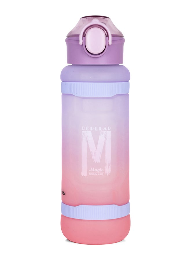 Water Bottle With Straw 1000 ML - Purple