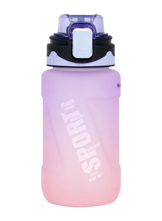 Water Bottle With Straw 550 ML - Purple