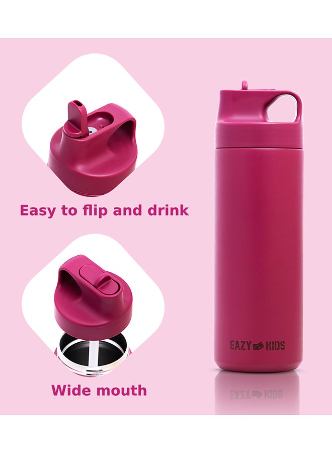 Double Wall Insulated Sports Water Bottle - Pink, 550 Ml