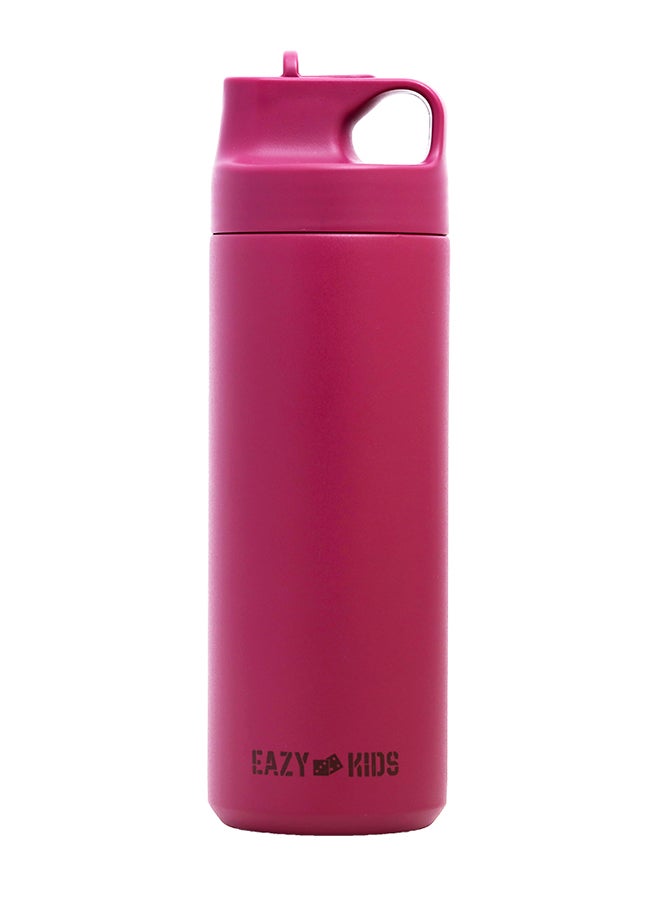 Double Wall Insulated Sports Water Bottle - Pink, 550 Ml