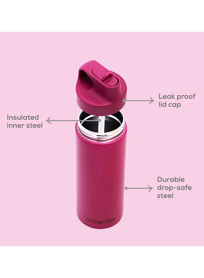 Double Wall Insulated Sports Water Bottle - Pink, 550 Ml