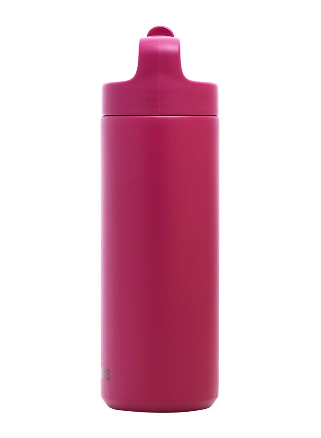 Double Wall Insulated Sports Water Bottle - Pink, 550 Ml