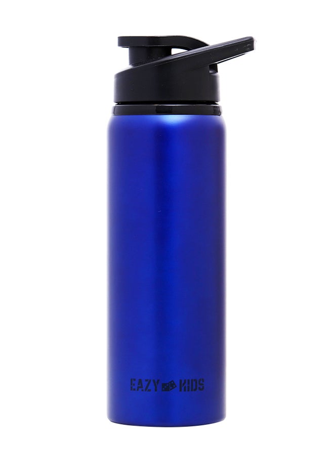 Stainless Steel Sports Water Bottle - Blue, 700 ML