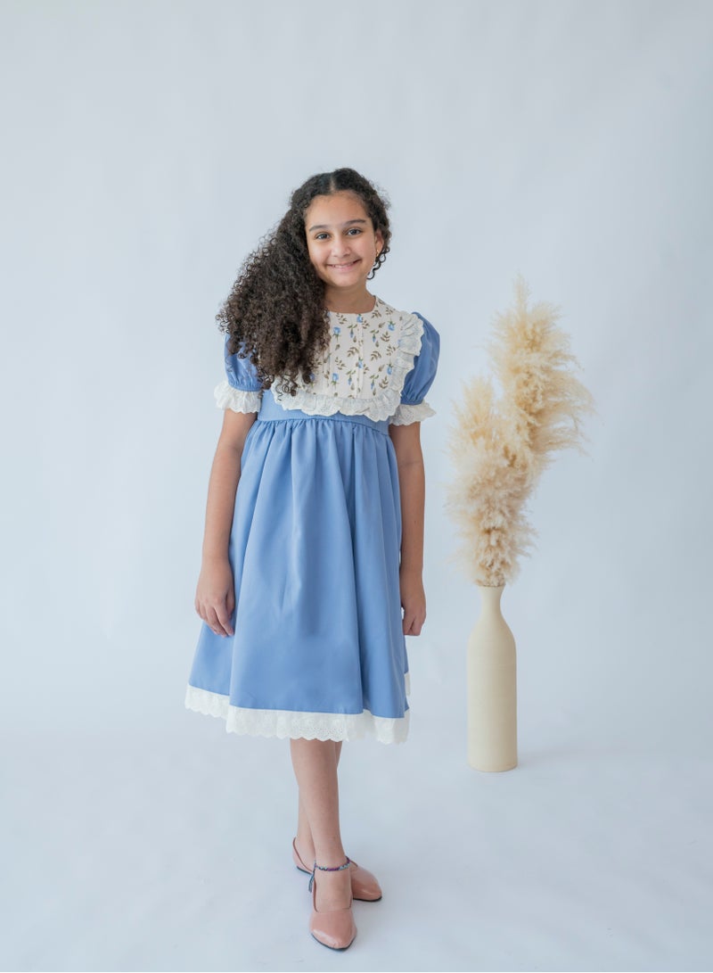 Bluebell Lace Collar Dress