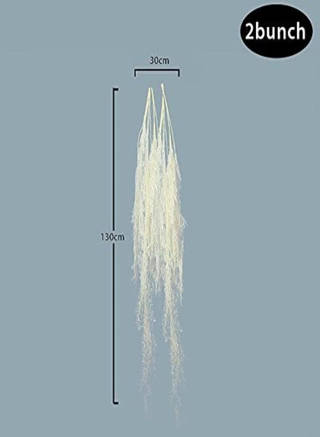 Yatai Natural Dried Asparagus Fern Leaf Hanging Flowers Spray Dried Flowers For Decoration Preserved Flowers Bouquets Holiday Ornament Dry Flowers For Vase Dried Plants For Decoration (2)