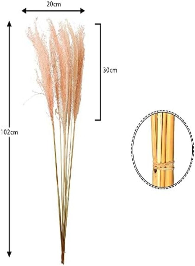 Yatai Natural Dried Pampas Grass Flowers Spray Preserved Flower For Decoration Wholesale Dried Feather Grass Dried Flowers Bouquet Wedding Party Vase Filler Décor Holiday Ornament Decoration (Pink)