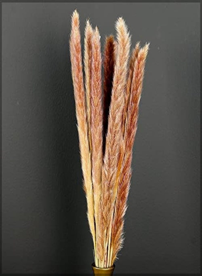 Yatai Dried Pampas Grass Bunch | Natural Look Grass For Wedding, Home, Office Decoration | Floor Vase Filler Arrangements Brown (4)