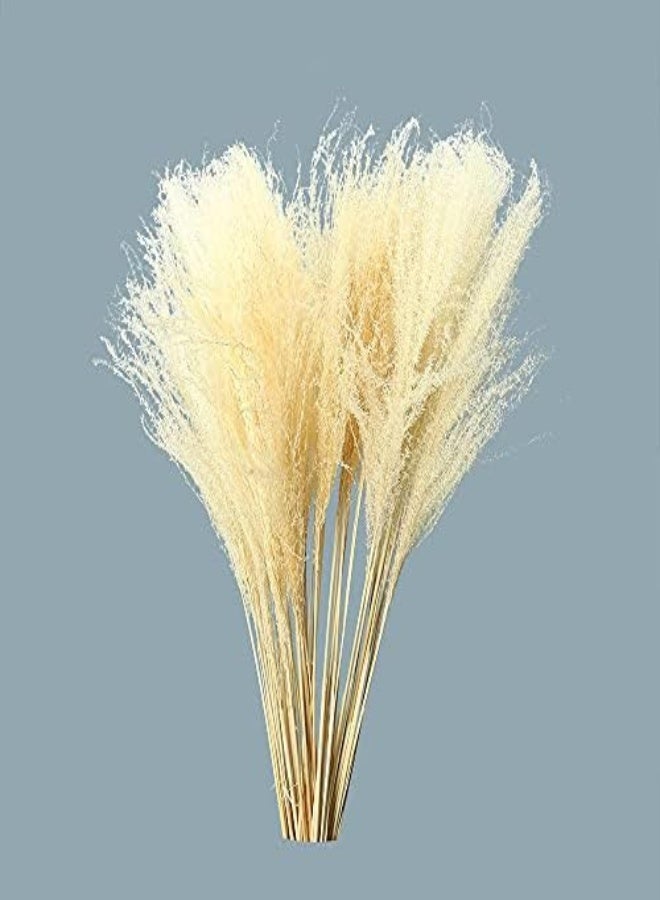 Yatai Natural Dried Pampas Grass Flowers Spray Preserved Flower For Decoration Wholesale Dried Feather Grass Dried Flowers Bouquet Wedding Party Vase Filler Décor Holiday Ornament Decoration (White)