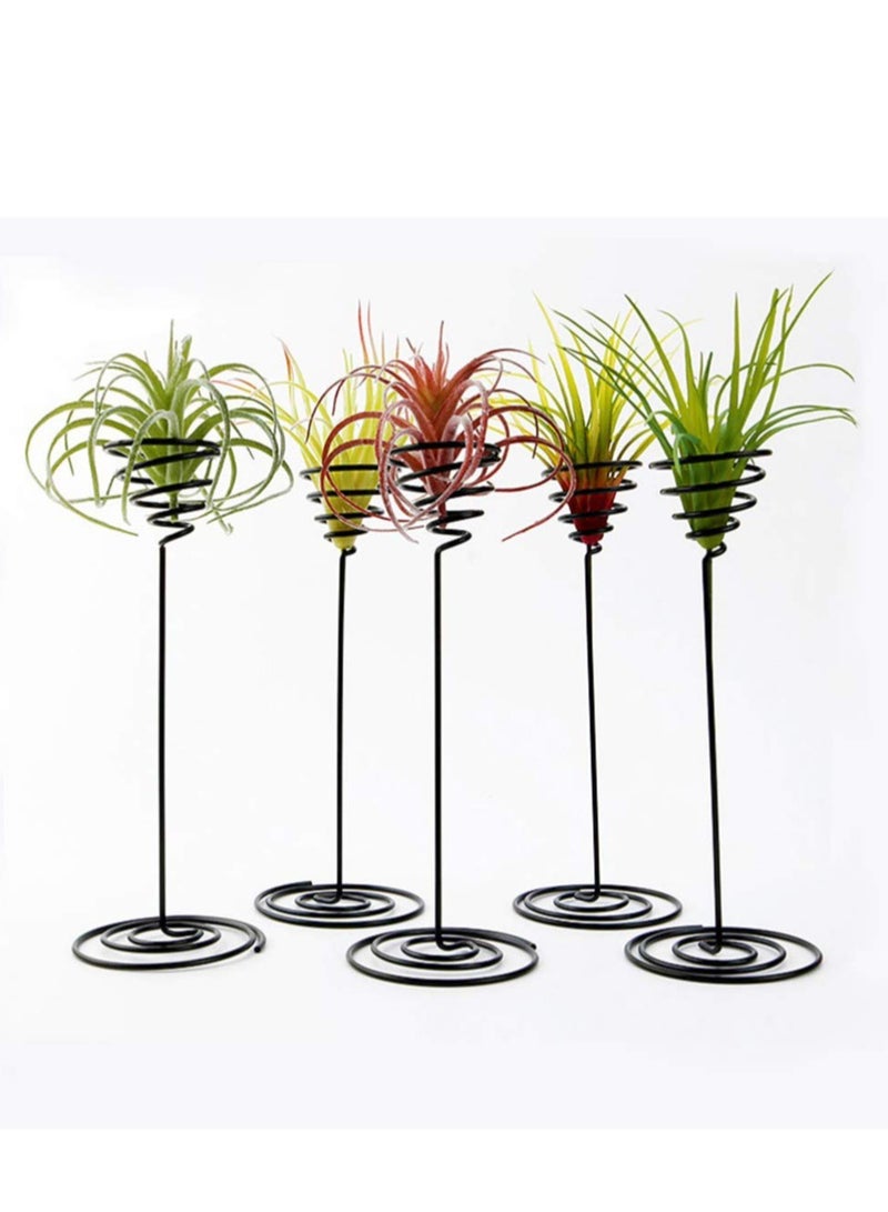 Air Plant Planter Holder 6 Pack Set of Stylish Stainless Steel Containers for Home Office and Garden Decor