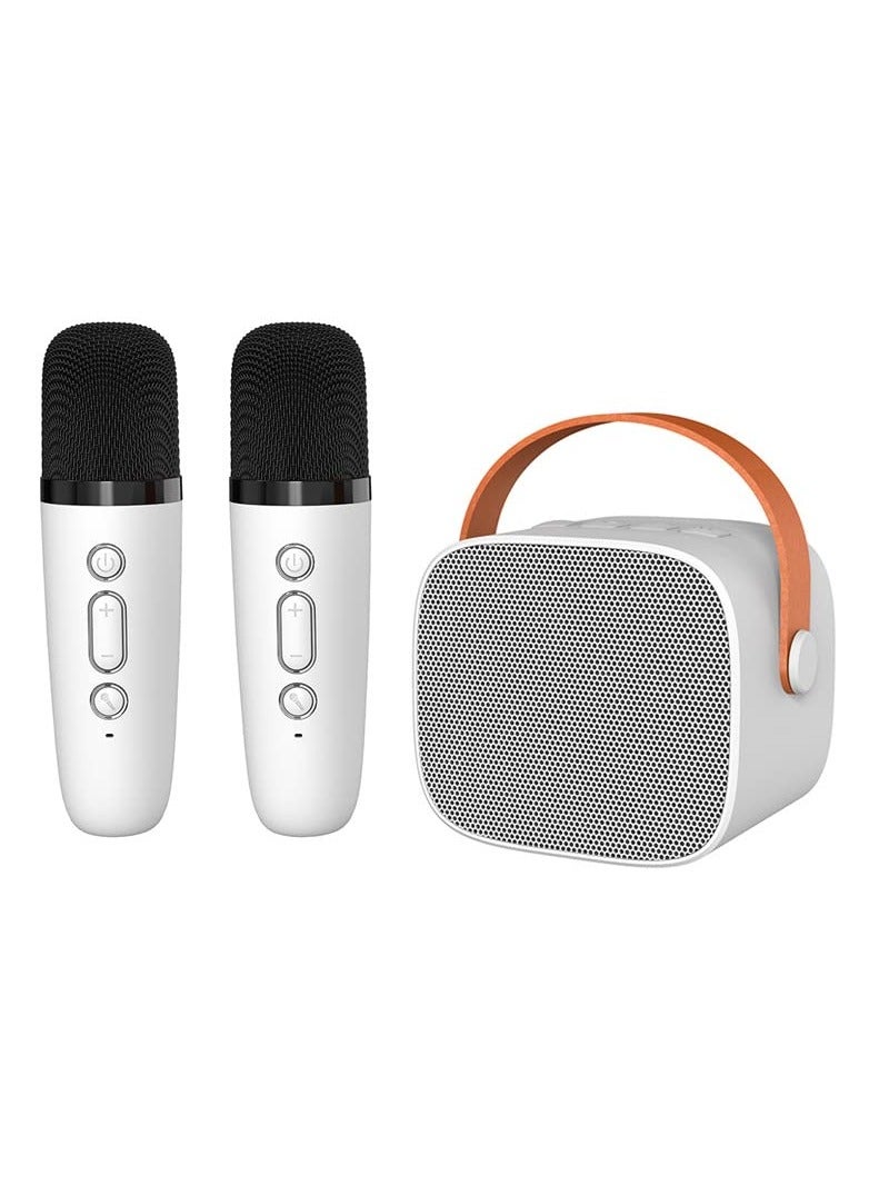 Portable Karaoke Speaker Sets, Small Wireless Karaoke Speaker With 2 Wireless Microphone