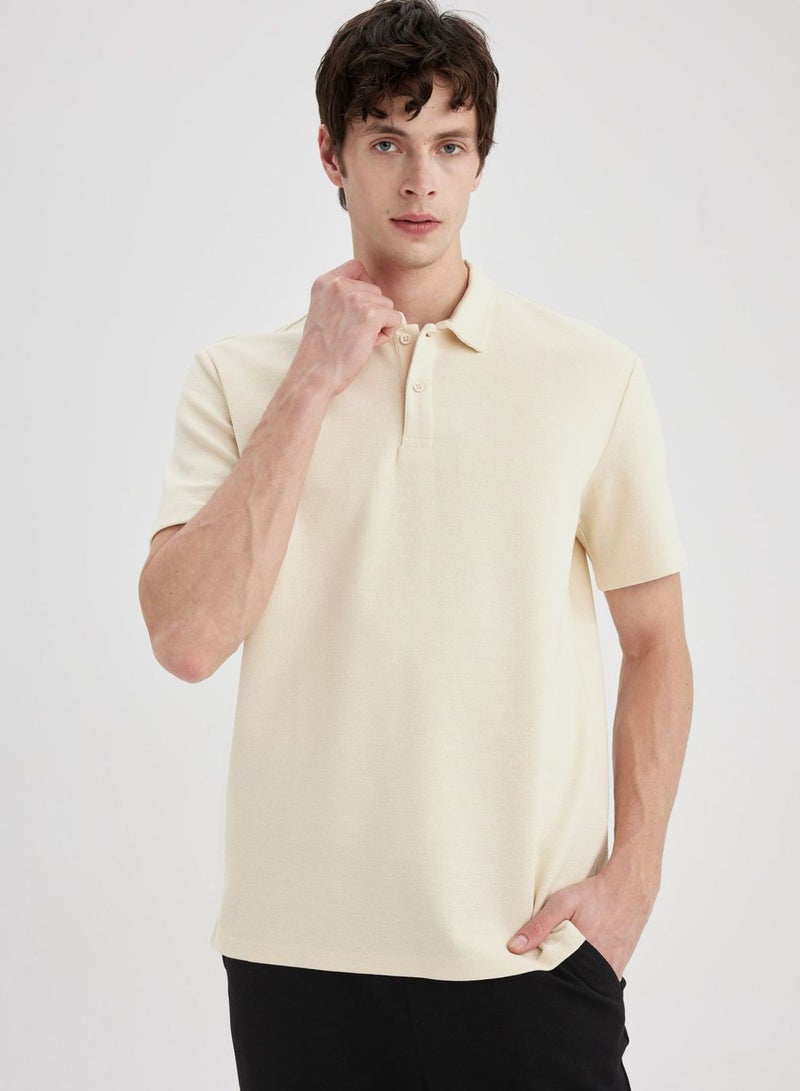 New Regular Fit Polo Collar Polo T-Shirt