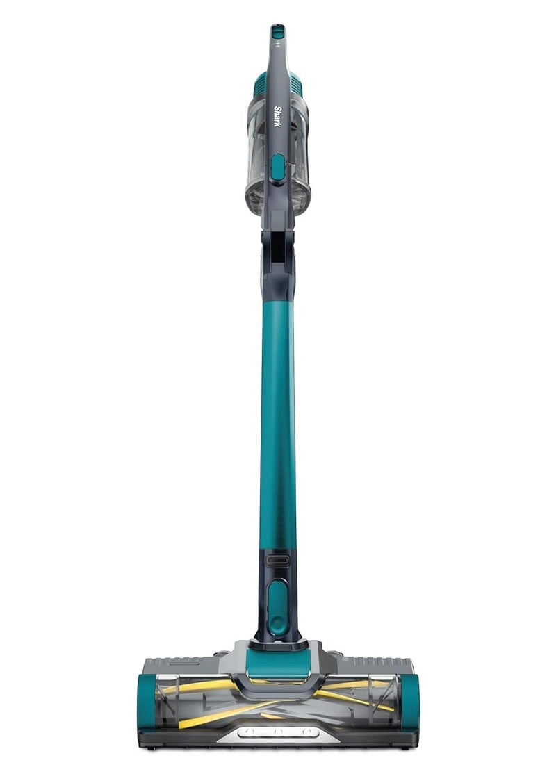 Cordless Vacuum With Self Cleaning Brushroll - IZ102ME