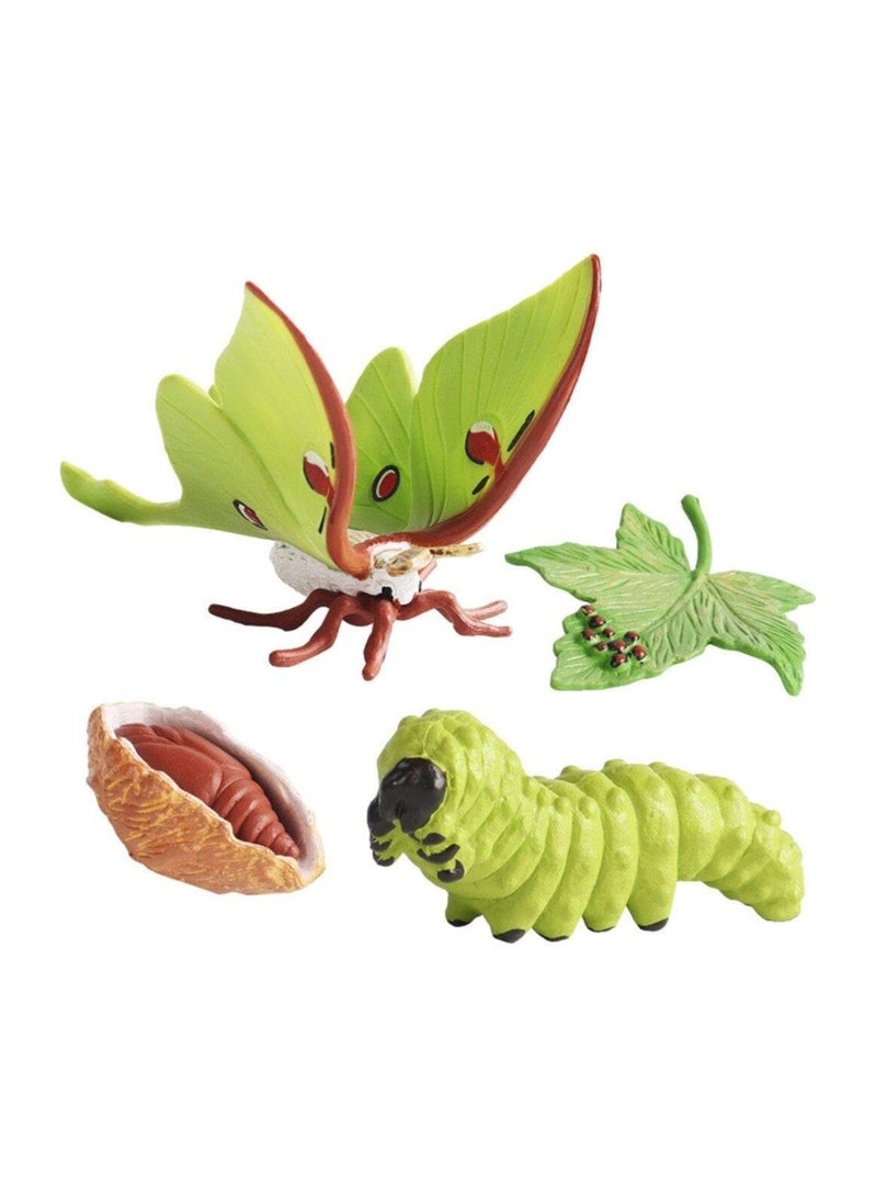 Life Cycle Models Butterfly, Simulation Animal Growth Cycle Model, Life Cycle Animal Figures Toy Growth Model for Children, for Home Diy, School Teaching Aids, 4 Stages of Butterfly Developments