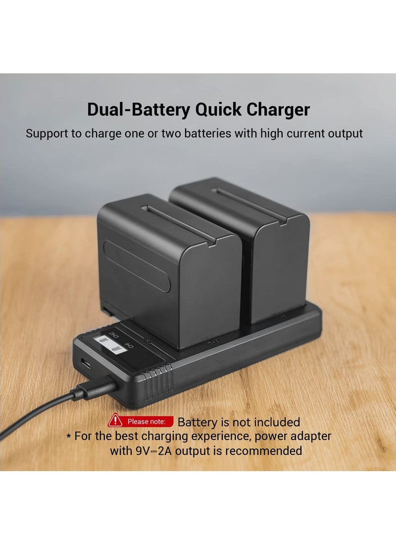 Sony NP-F9 Fast Charger Dual USB Charger with LCD Display for Sony NP-F970 NP-F930 NP-F950 NP-F960 NP-F550 NP-F530 NP-F330 NP-F570 Battery - 4086