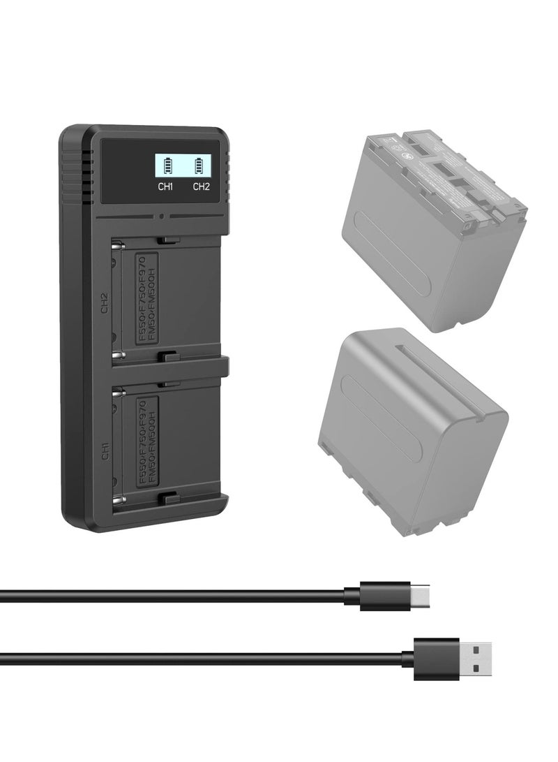 Sony NP-F9 Fast Charger Dual USB Charger with LCD Display for Sony NP-F970 NP-F930 NP-F950 NP-F960 NP-F550 NP-F530 NP-F330 NP-F570 Battery - 4086