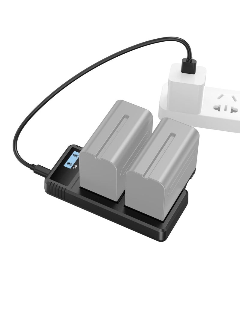 Sony NP-F9 Fast Charger Dual USB Charger with LCD Display for Sony NP-F970 NP-F930 NP-F950 NP-F960 NP-F550 NP-F530 NP-F330 NP-F570 Battery - 4086