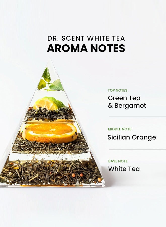 Breeze of Joy, Diffuser Aroma Oil White Tea | Tranquil Blend of Green Tea, Bergamot, Sicilian Orange, and White Tea Notes for a Serene Ambiance (170ml)