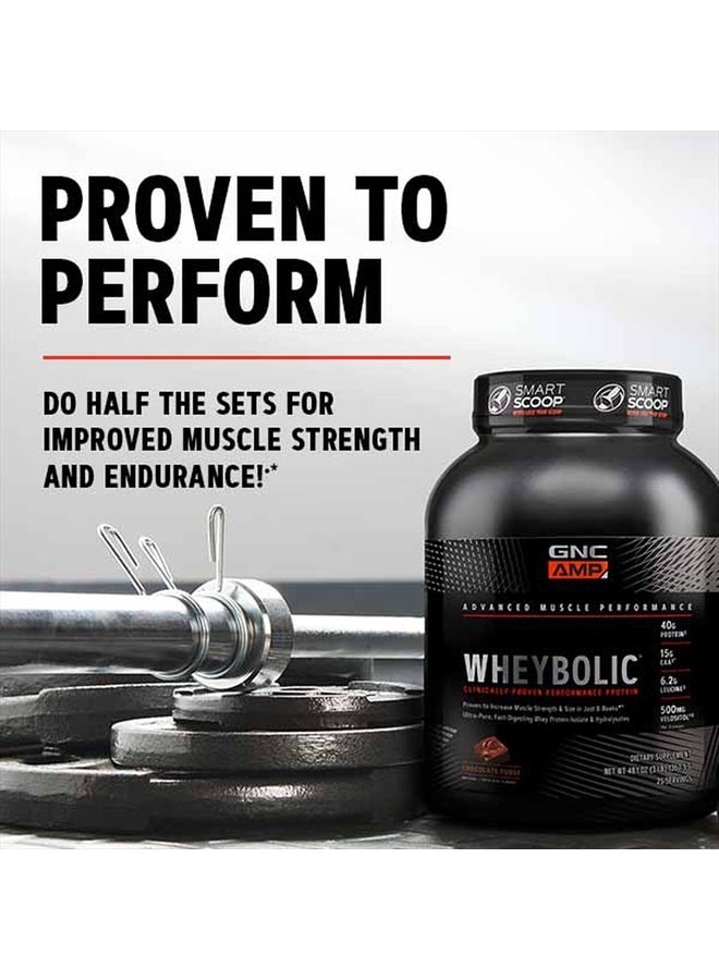 AMP Wheybolic Protein Powder | Targeted Muscle Building and Workout Support Formula | Pure Whey Protein Powder Isolate with BCAA | Gluten Free | Chocolate Fudge | 33 Servings