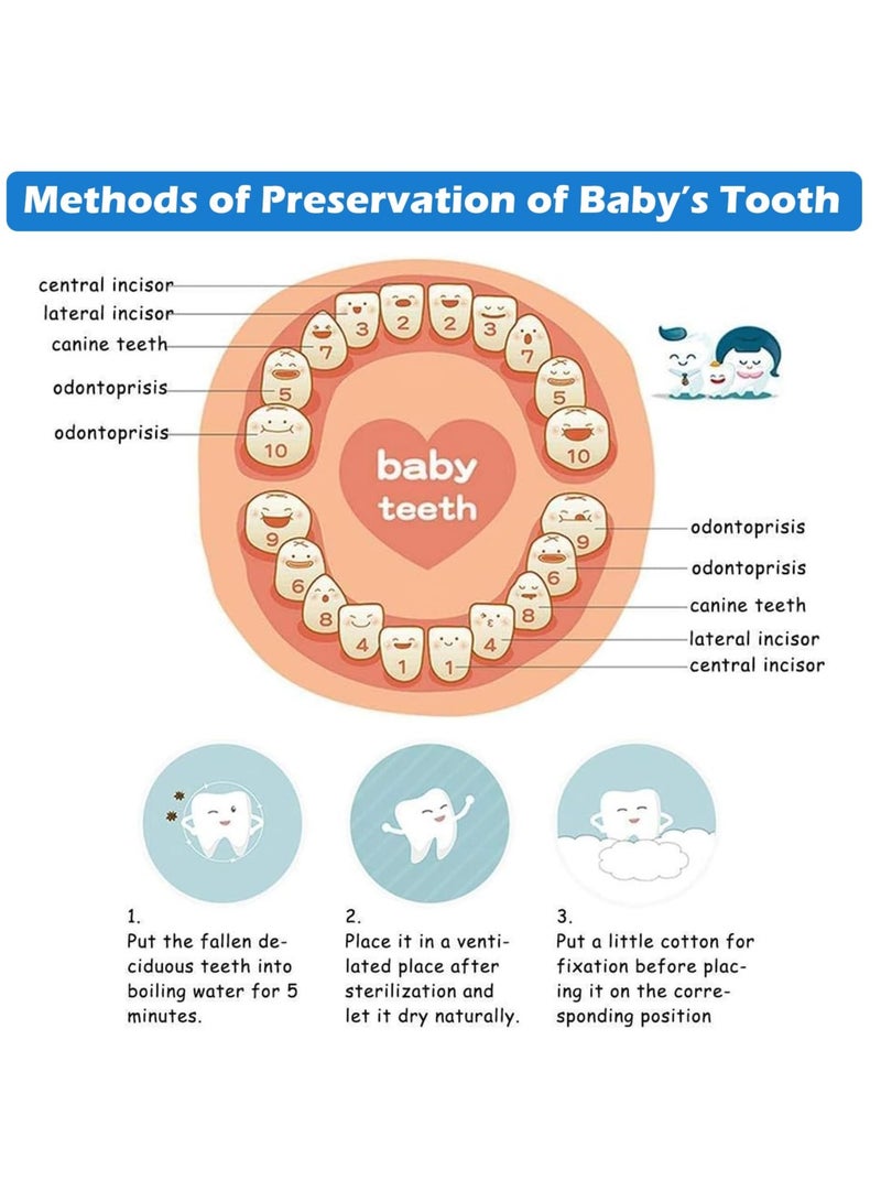 Tooth Keepsake Box,Tooth Holder for Kids' Lost Teeth, Baby Teeth Keepsake Container, Tooth Saver for Toothfairy Visits, Teeth Storage Holder for Precious Memories