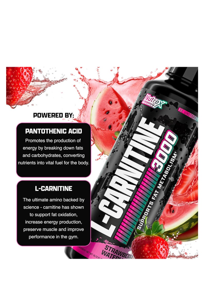 Liquid Carnitine, Strawberry Watermelon, 3000 mg, Boost Endurance 31 serving 465ml