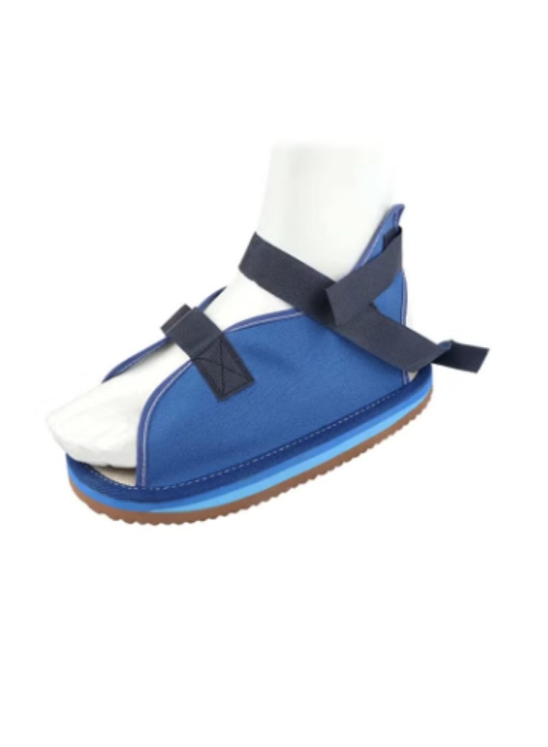 Cast Shoe Blue