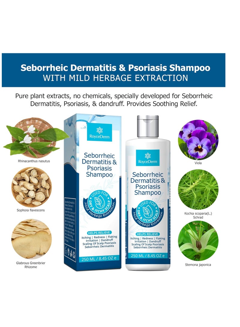 Roycederm Psoriasis Shampoo, Seborrheic Dermatitis Shampoo, Folliculitis Shampoo, Dandruff Shampoo, Scalp Psoriasis & Seborrheic Dermatitis Treatment, Dry Itchy Scalp Treatment