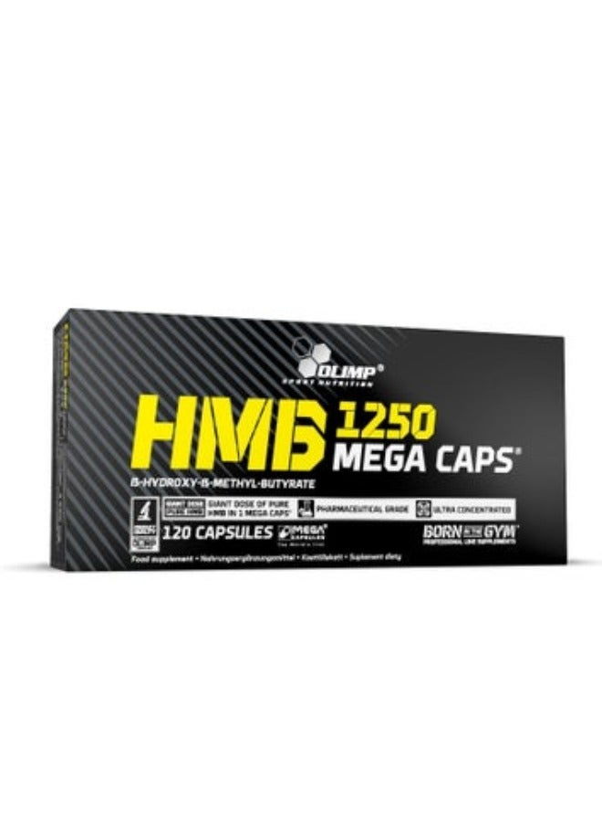 HMB 1250 Mega Caps, Pharmaceutical Grade, Ultra Concentrated, 120 Capsules