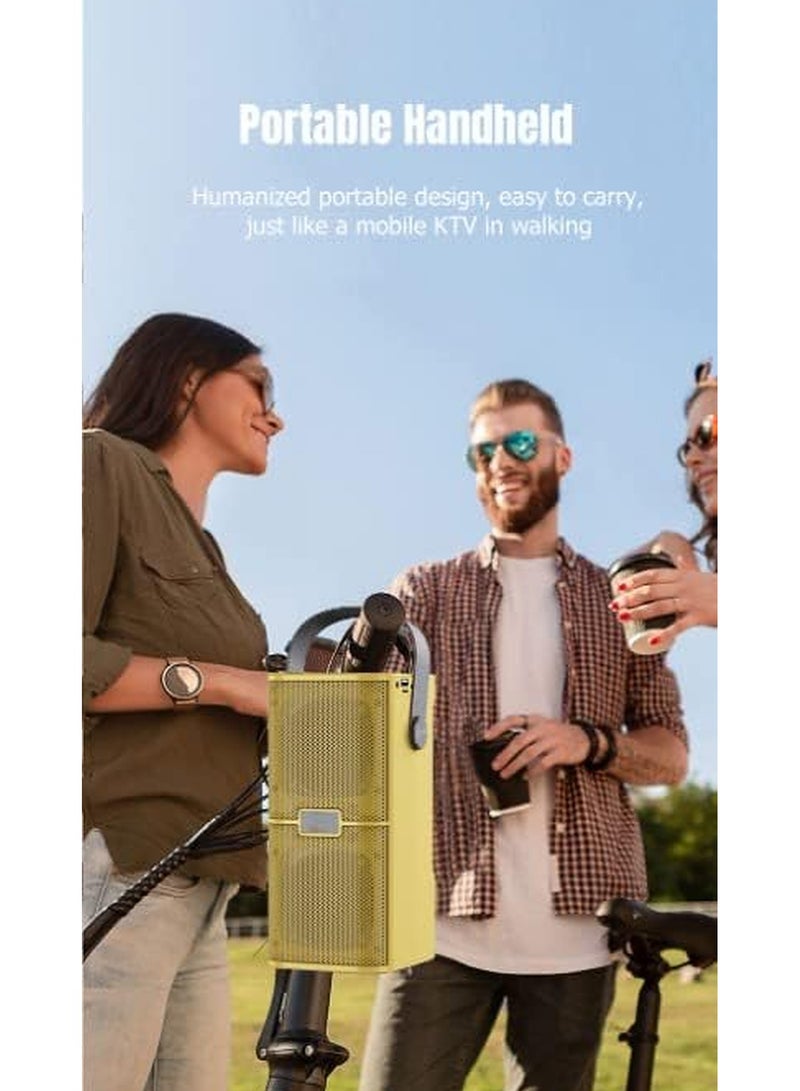 YS 218 Portable Wireless Bluetooth Karaoke Speaker Stereo Bass Dual Microphone
