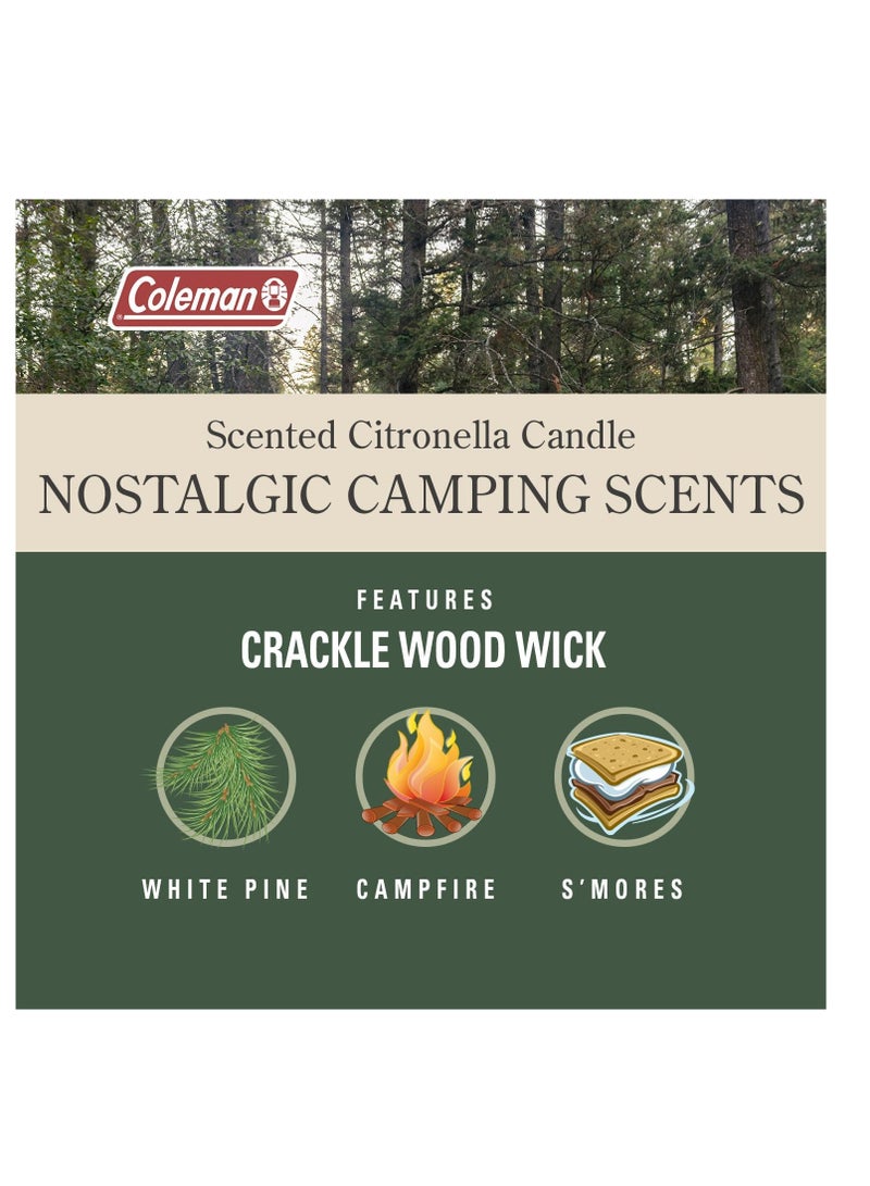 Coleman Pine Scented Citronella Candle with Wooden Crackle Wick - 6 oz Tin