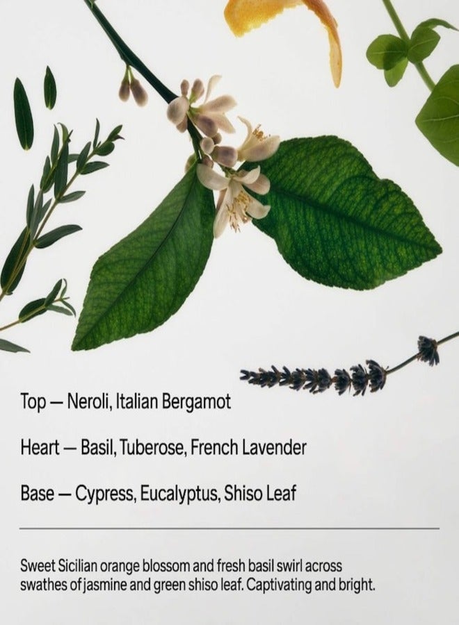 Salt & Stone Neroli & Basil Extra Strength Aluminum Free Deodorant 75g