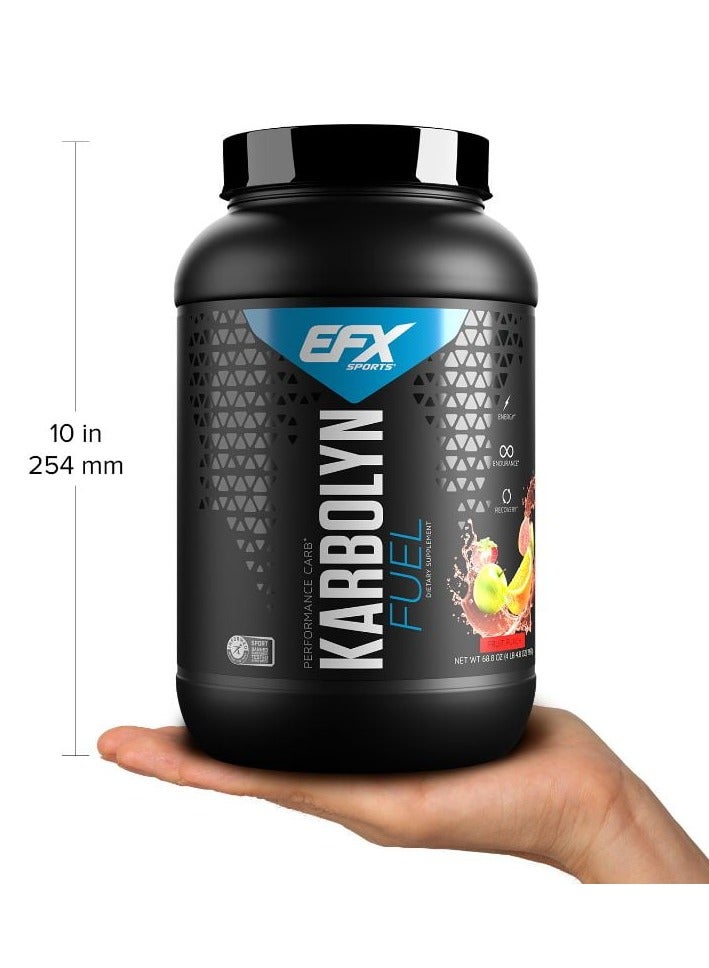 EFX Sports karbolyn fuel performance Carbs 1950g Fruit Punch Flavor 36 Serving