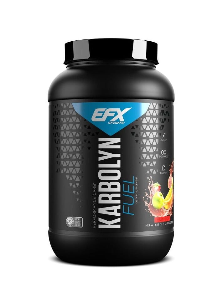 EFX Sports karbolyn fuel performance Carbs 1950g Fruit Punch Flavor 36 Serving