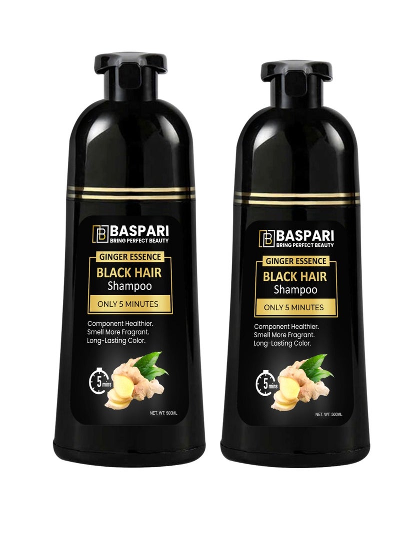 Baspari VIP Hair Dye Shampoo - Long-Lasting, Natural Hair Color | 2 Pcs