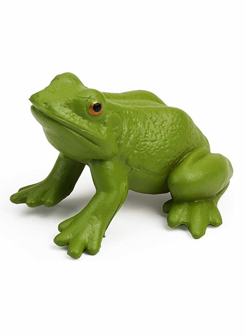 Frog Toys 5PCS Frog Life Cycle Figures Realistic Frog Life Stages Model Frog Life Cycle Amphibian Learning Toys