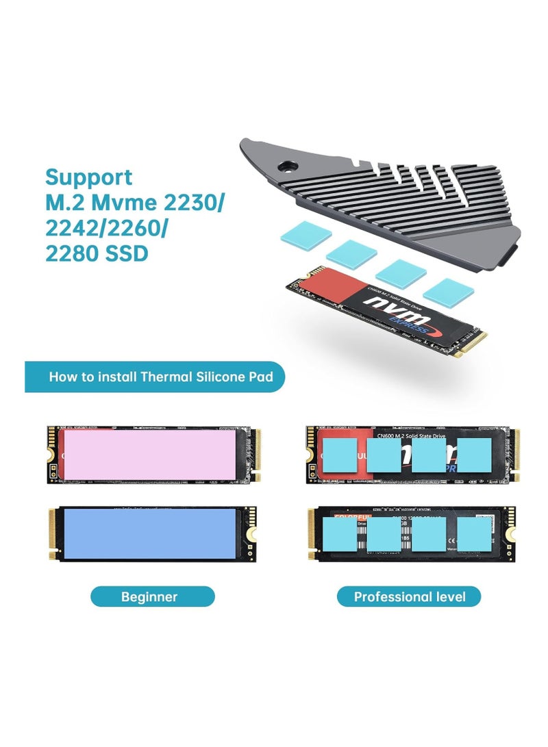 M.2 Heatsink for PS5 NVMe SSD Aluminum Heatsink with 10 Thermal Pads for Playstation 5 and PC Internal M.2 Gen4 NVME PCIE 4.0 SSD Cooling Mounting Post Kit Expansion Slot