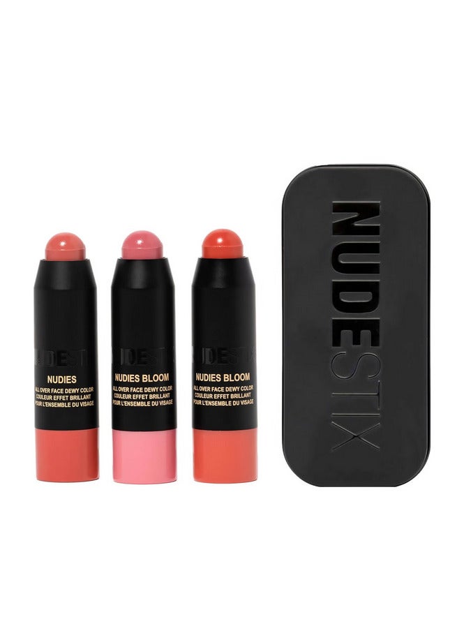 NUDESTIX Pretty Blush Kit