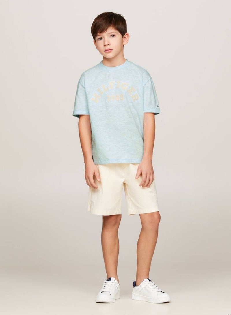 Boys' Hilfiger Monotype 1985 Collection T-Shirt -  Pure organic cotton, Blue