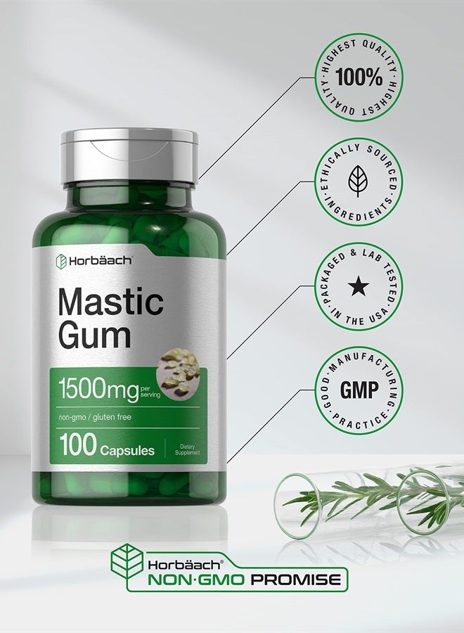 Mastic Gum Capsules 1500mg 100 Count | Non-GMO & Gluten Free